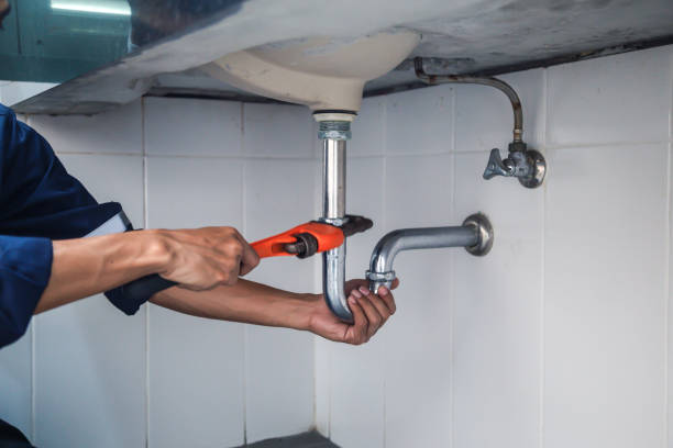 Best Local Plumber Services  in Mapleton, UT